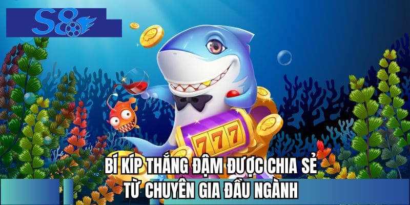 Bí kíp thắng đậm được chia sẻ từ chuyên gia đầu ngành