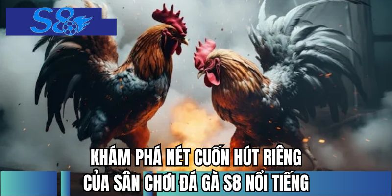 Khám phá nét cuốn hút riêng của sân chơi đá gà S8 nổi tiếng