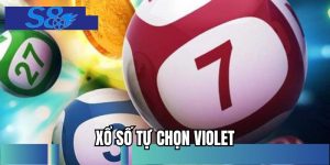 Xổ Số Tự Chọn Violet - Cơ Hội Để Làm Giàu, Đổi Đời